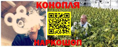 прущие грибы Краснознаменск