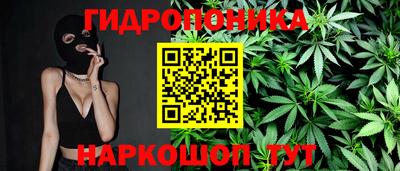 прущие грибы Краснознаменск