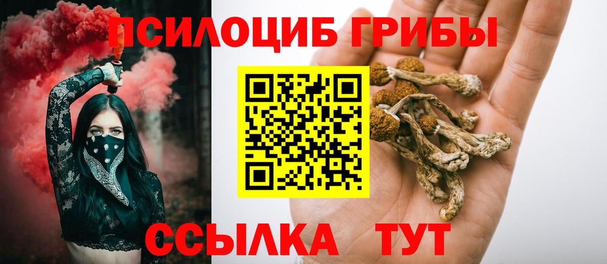 Красноармейск  Псилоцибиновые грибы MAGIC MUSHROOMS  Вход с VPN 